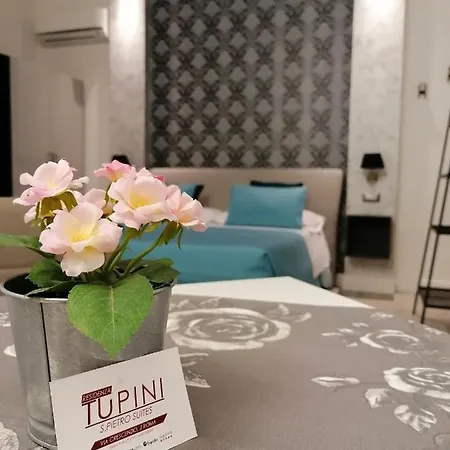 게스트하우스 Residenza Tupini, S.pietro 로마